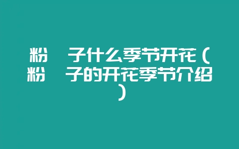 粉黛子什么季节开花（粉黛子的开花季节介绍）-会东网
