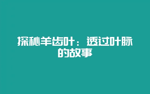探秘羊齿叶:透过叶脉的故事插图 探秘羊齿叶:透过叶脉的故事插图