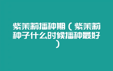 紫茉莉播种期（紫茉莉种子什么时候播种最好）-会东网