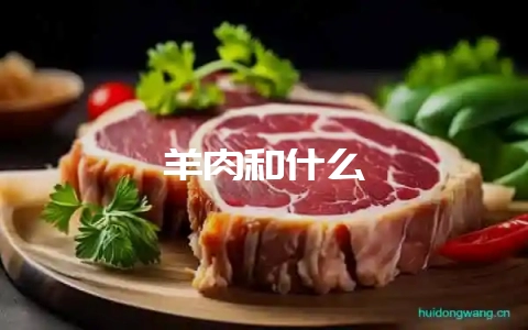 羊肉和什么-会东网