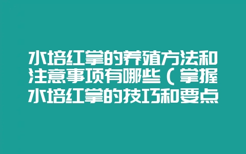 水培红掌的养殖方法和注意事项有哪些（掌握水培红掌的技巧和要点-会东网