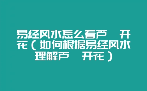易经风水怎么看芦荟开花(如何根据易经风水理解芦荟开花)插图 易经风水怎么看芦荟开花(如何根据易经风水理解芦荟开花)插图