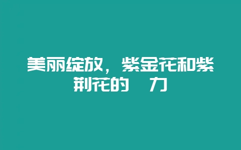 美丽绽放，紫金花和紫荆花的魅力-会东网