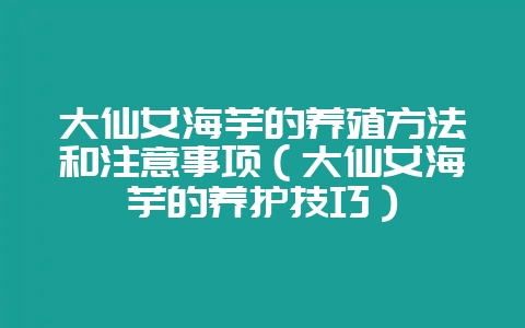 大仙女海芋的养殖方法和注意事项（大仙女海芋的养护技巧）-会东网