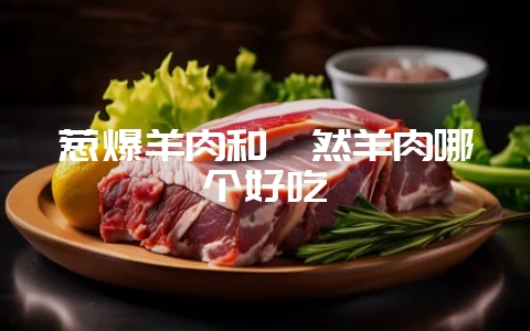 葱爆羊肉和孜然羊肉哪个好吃-会东网