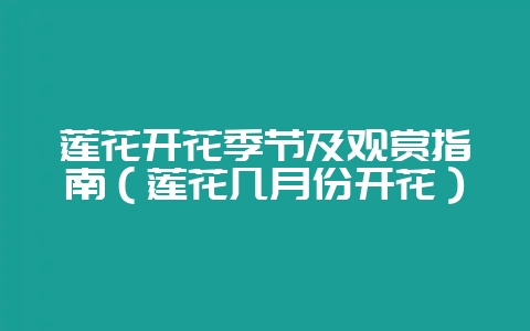 莲花开花季节及观赏指南（莲花几月份开花）-会东网