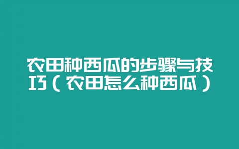 农田种西瓜的步骤与技巧（农田怎么种西瓜）-会东网