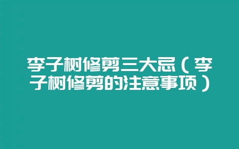李子树修剪三大忌（李子树修剪的注意事项）-会东网