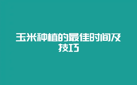 玉米种植的最佳时间及技巧插图 玉米种植的最佳时间及技巧插图