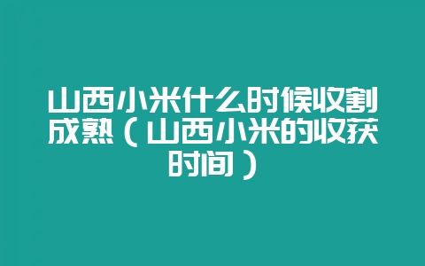 山西小米什么时候收割成熟（山西小米的收获时间）-会东网