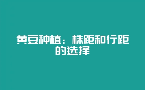 黄豆种植：株距和行距的选择-会东网