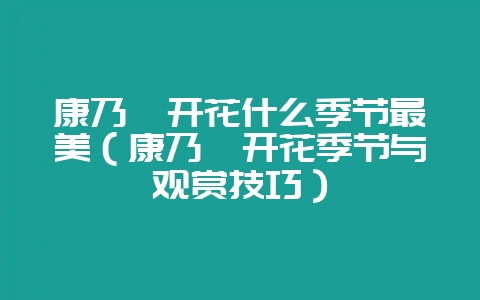 康乃馨开花什么季节最美（康乃馨开花季节与观赏技巧）-会东网