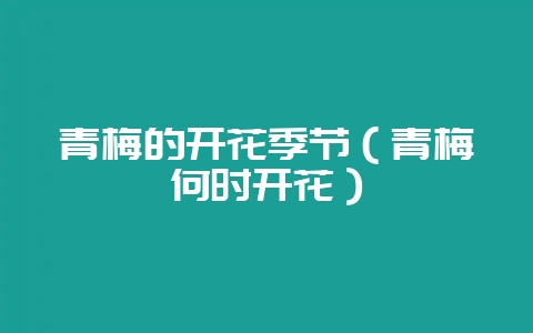 青梅的开花季节（青梅何时开花）-会东网