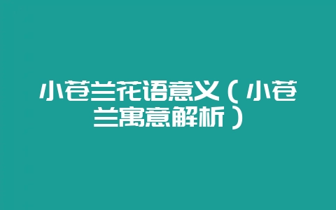 小苍兰花语意义(小苍兰寓意解析)插图 小苍兰花语意义(小苍兰寓意解析)插图