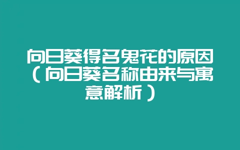 向日葵得名鬼花的原因（向日葵名称由来与寓意解析）-会东网
