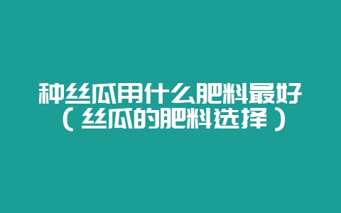 种丝瓜用什么肥料最好(丝瓜的肥料选择)-会东网