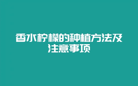 香水柠檬的种植方法及注意事项-会东网