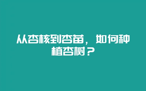 从杏核到杏苗，如何种植杏树？-会东网