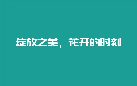 绽放之美，花开的时刻-会东网