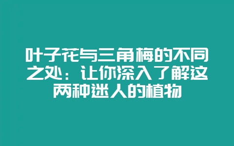叶子花与三角梅的不同之处：让你深入了解这两种迷人的植物-会东网