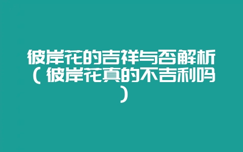 彼岸花的吉祥与否解析（彼岸花真的不吉利吗）-会东网