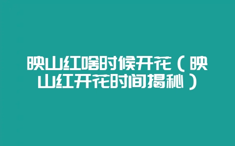 映山红啥时候开花（映山红开花时间揭秘）-会东网
