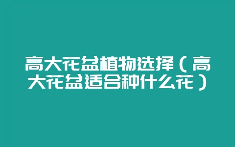 高大花盆植物选择（高大花盆适合种什么花）-会东网