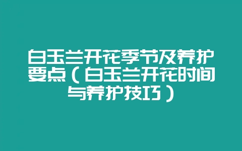 白玉兰开花季节及养护要点（白玉兰开花时间与养护技巧）-会东网