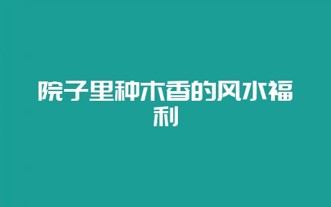 院子里种木香的风水福利插图 院子里种木香的风水福利插图