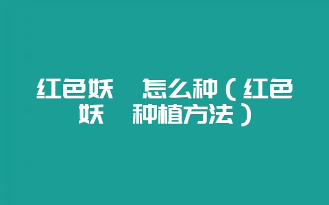 红色妖姬怎么种（红色妖姬种植方法）-会东网