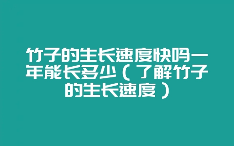竹子的生长速度快吗一年能长多少（了解竹子的生长速度）-会东网