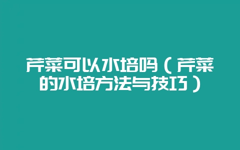 芹菜可以水培吗（芹菜的水培方法与技巧）-会东网