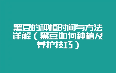 黑豆的种植时间与方法详解（黑豆如何种植及养护技巧）-会东网