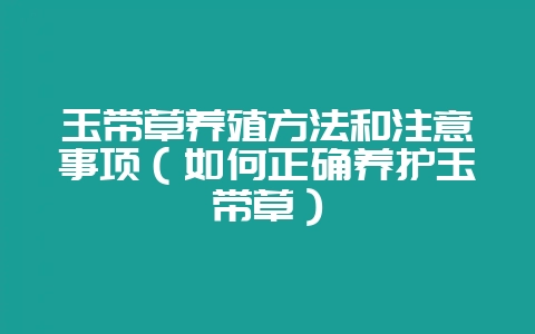 玉带草养殖方法和注意事项(如何正确养护玉带草)插图 玉带草养殖方法和注意事项(如何正确养护玉带草)插图