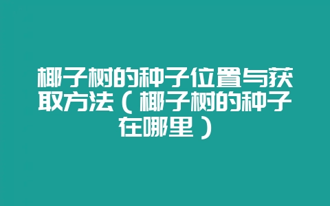 椰子树的种子位置与获取方法(椰子树的种子在哪里)插图 椰子树的种子位置与获取方法(椰子树的种子在哪里)插图