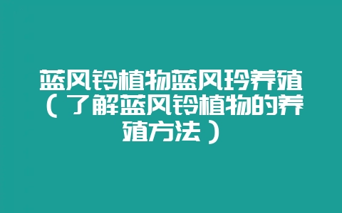 蓝风铃植物蓝风玲养殖（了解蓝风铃植物的养殖方法）-会东网