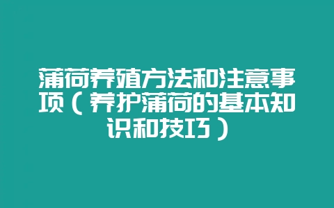蒲荷养殖方法和注意事项（养护蒲荷的基本知识和技巧）-会东网