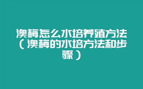 澳梅怎么水培养殖方法(澳梅的水培方法和步骤)-会东网