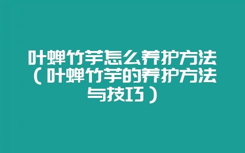 叶蝉竹芋怎么养护方法（叶蝉竹芋的养护方法与技巧）-会东网