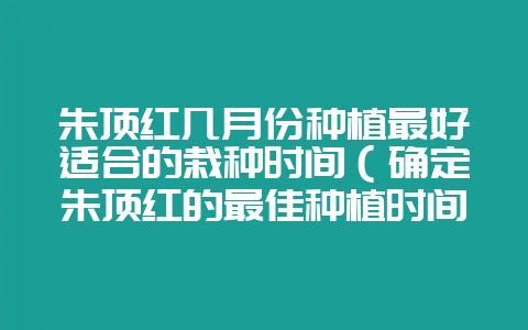 朱顶红几月份种植最好适合的栽种时间（确定朱顶红的最佳种植时间-会东网
