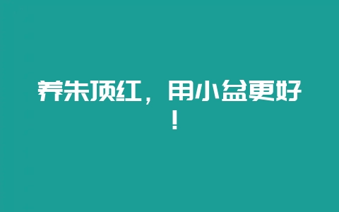 养朱顶红，用小盆更好！-会东网
