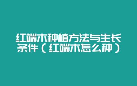 红端木种植方法与生长条件（红端木怎么种）-会东网