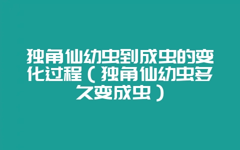 独角仙幼虫到成虫的变化过程（独角仙幼虫多久变成虫）-会东网