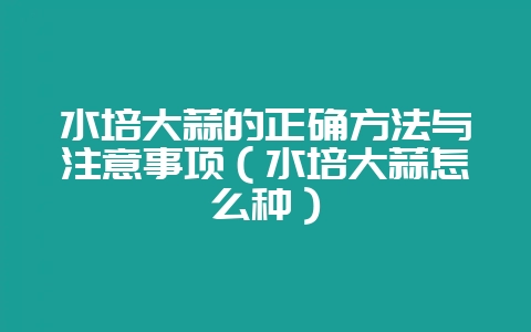 水培大蒜的正确方法与注意事项（水培大蒜怎么种）-会东网
