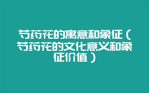 芍药花的寓意和象征(芍药花的文化意义和象征价值)-会东网