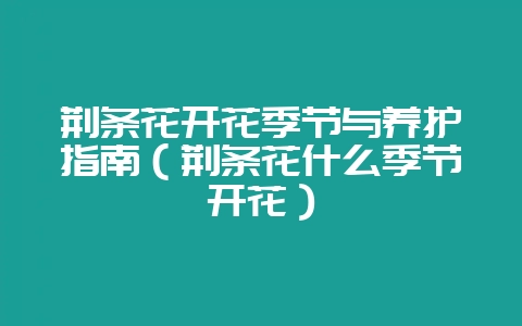荆条花开花季节与养护指南（荆条花什么季节开花）-会东网