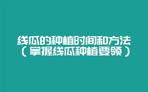 线瓜的种植时间和方法（掌握线瓜种植要领）-会东网
