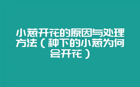 小葱开花的原因与处理方法（种下的小葱为何会开花）-会东网