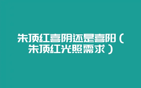 朱顶红喜阴还是喜阳（朱顶红光照需求）-会东网