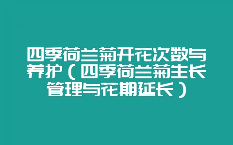四季荷兰菊开花次数与养护（四季荷兰菊生长管理与花期延长）-会东网
